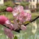 苏州旅游 缩略图 4