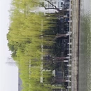 苏州旅游 缩略图 13
