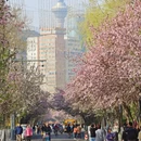 天津旅游 缩略图 16