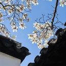 苏州旅游 缩略图 13