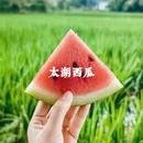 苏州旅游 缩略图 5