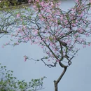 苏州旅游 缩略图 15