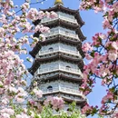 天津旅游 缩略图 1