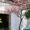 苏州旅游 缩略图 12