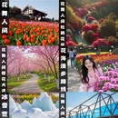 成都旅游 缩略图 1