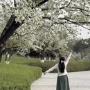 重庆旅游 缩略图 10