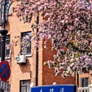 天津旅游 缩略图 3