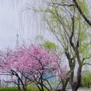 苏州旅游 缩略图 12