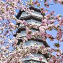 天津旅游 缩略图 2