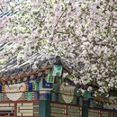 天津旅游 缩略图 3