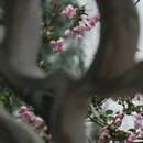 苏州旅游 缩略图 18