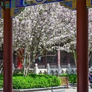 天津旅游 缩略图 13