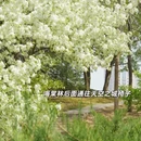 北京旅游 缩略图 5