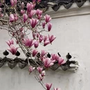苏州旅游 缩略图 2