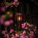 苏州旅游 缩略图 9