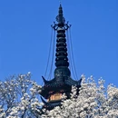 苏州旅游 缩略图 8