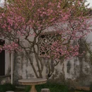 苏州旅游 缩略图 10
