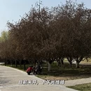 北京旅游 缩略图 8