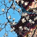 苏州旅游 缩略图 9