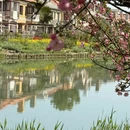 苏州旅游 缩略图 6