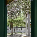 天津旅游 缩略图 6