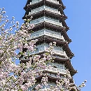 天津旅游 缩略图 8