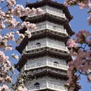 天津旅游 缩略图 7