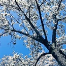 苏州旅游 缩略图 5