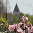 苏州旅游 缩略图 11