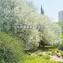 北京旅游 缩略图 3