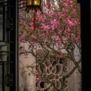 苏州旅游 缩略图 7