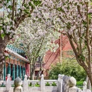 天津旅游 缩略图 12