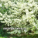北京旅游 缩略图 4