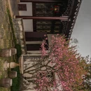 苏州旅游 缩略图 11