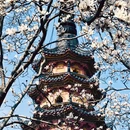 苏州旅游 缩略图 10