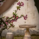 苏州旅游 缩略图 13