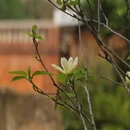 泉州旅游 缩略图 3