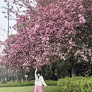 苏州旅游 缩略图 5