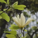 泉州旅游 缩略图 4