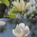 泉州旅游 缩略图 9