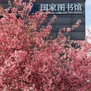 北京旅游 缩略图 15