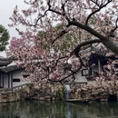 苏州旅游 缩略图 9