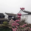 苏州旅游 缩略图 14