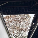 苏州旅游 缩略图 13