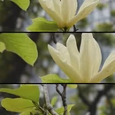 泉州旅游 缩略图 1