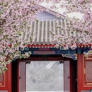 北京旅游 缩略图 1