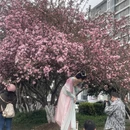 苏州旅游 缩略图 1