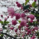 苏州旅游 缩略图 11