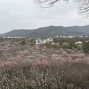 苏州旅游 缩略图 1
