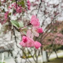 苏州旅游 缩略图 14